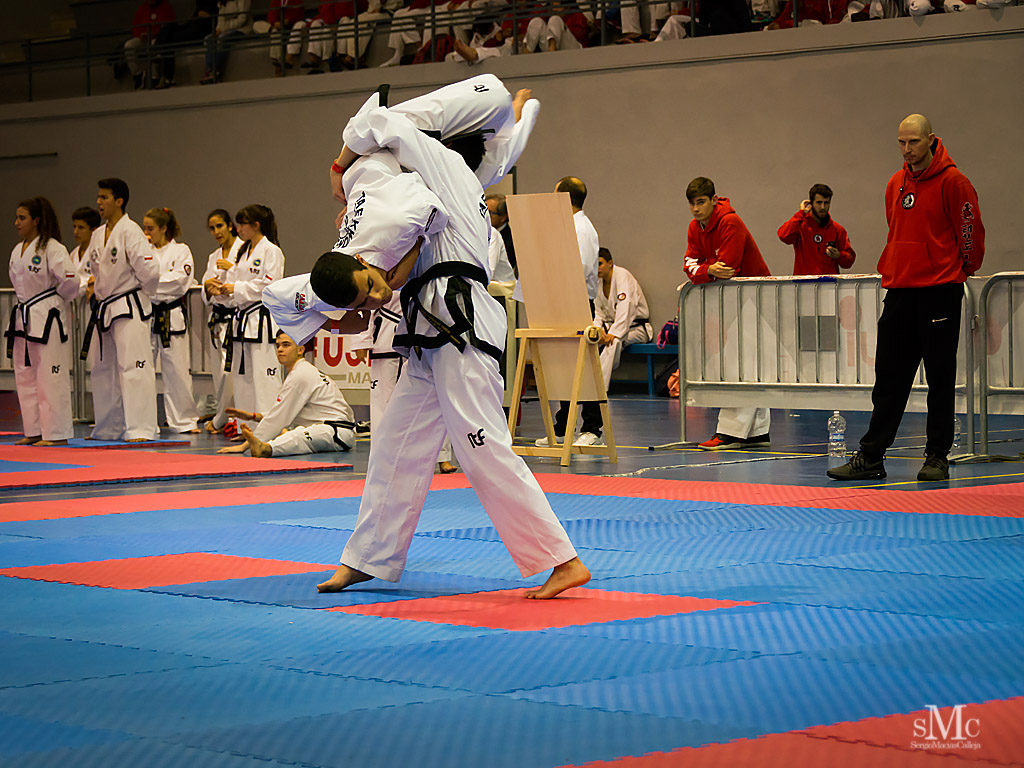 COPA SEUL, 2017  (97).JPG